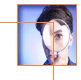 Click Fraud Protection Services